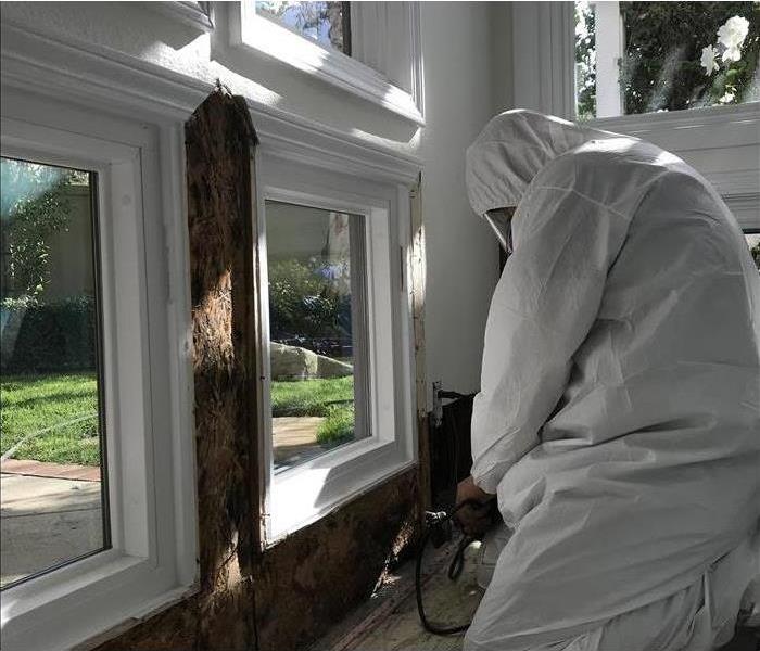 One of Our Certified Technicians Removing Mold