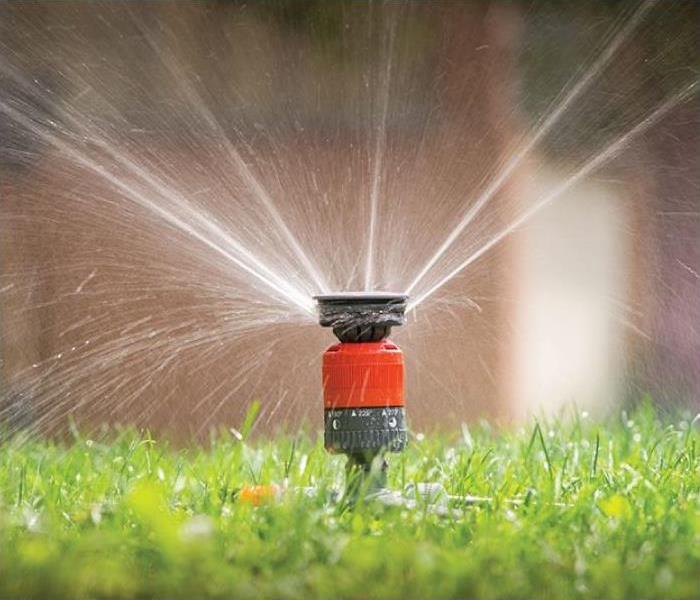 Sprinkler shooting water