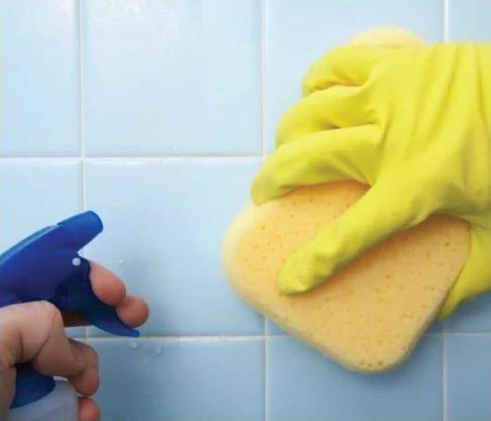 a picture of hands holding spray bottle and a sponge